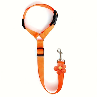 Velmora™ Safety Seat Belt
